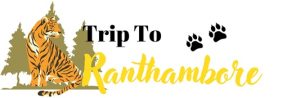 Trip to Ranthambore logo